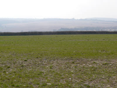 The uninterrupted view from the cottages over farmland towards Welshmoor.